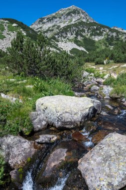 Bulgaristan 'ın Muratovo Gölü etrafındaki Pirin Dağı' nın şaşırtıcı yaz manzarası