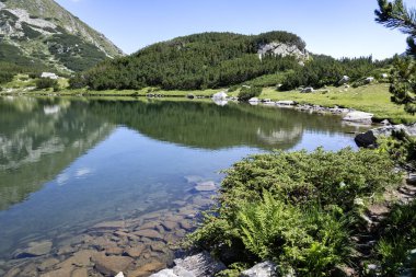 Bulgaristan 'ın Muratovo Gölü etrafındaki Pirin Dağı' nın şaşırtıcı yaz manzarası