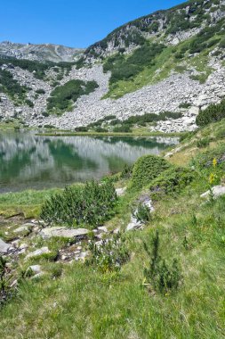 Bulgaristan 'ın Muratovo Gölü etrafındaki Pirin Dağı' nın şaşırtıcı yaz manzarası