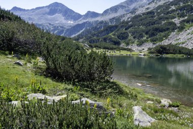 Bulgaristan 'ın Muratovo Gölü etrafındaki Pirin Dağı' nın şaşırtıcı yaz manzarası