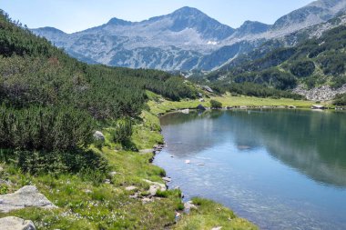 Bulgaristan 'ın Muratovo Gölü etrafındaki Pirin Dağı' nın şaşırtıcı yaz manzarası