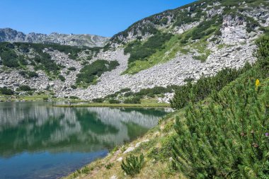 Bulgaristan 'ın Muratovo Gölü etrafındaki Pirin Dağı' nın şaşırtıcı yaz manzarası