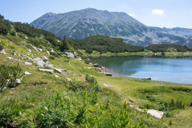 Bulgaristan 'ın Muratovo Gölü etrafındaki Pirin Dağı' nın şaşırtıcı yaz manzarası