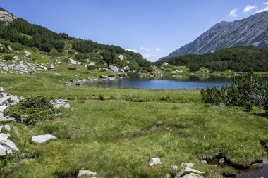 Bulgaristan 'ın Muratovo Gölü etrafındaki Pirin Dağı' nın şaşırtıcı yaz manzarası
