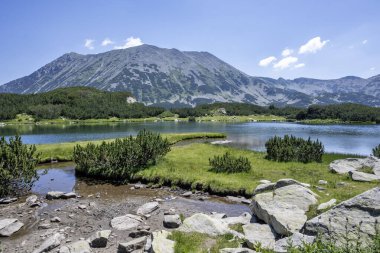 Amazing Summer view of Pirin Mountain around Muratovo Lake, Bulgaria clipart