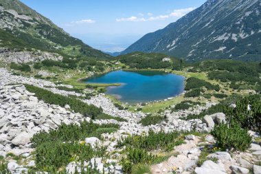 Bulgaristan 'ın Muratovo Gölü etrafındaki Pirin Dağı' nın şaşırtıcı yaz manzarası