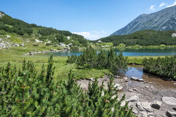 stock image Amazing Summer view of Pirin Mountain around Muratovo Lake, Bulgaria