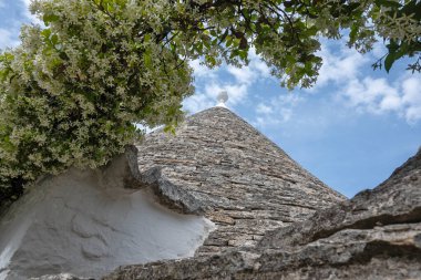 Apulia Bölgesi, İtalya 'nın Alberobello şehrinin muhteşem manzarası.