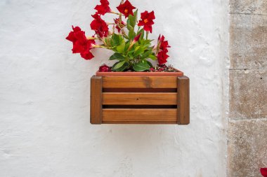 Apulia Bölgesi, İtalya 'nın Alberobello şehrinin muhteşem manzarası.