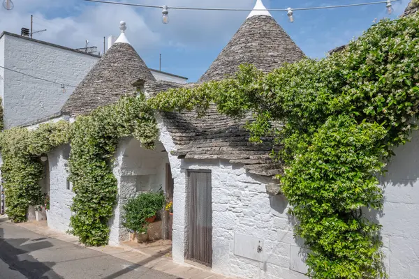 Apulia Bölgesi, İtalya 'nın Alberobello şehrinin muhteşem manzarası.