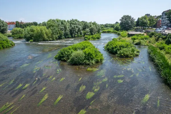 PLOVDIV, BULGARIA - 6 Temmuz 2023: Bulgaristan 'ın Filibe kentinin şaşırtıcı Panoramik görünümü