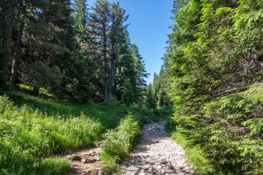 Amazing Summer landscape of Rila Mountain near Malyovitsa peak, Bulgaria