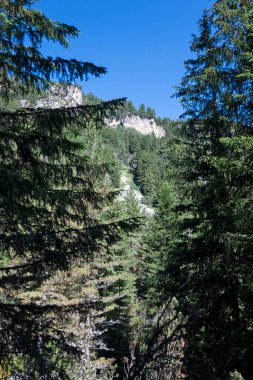 Amazing Summer landscape of Rila Mountain near Malyovitsa peak, Bulgaria