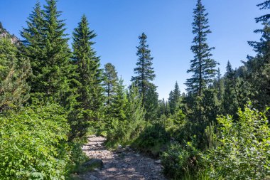 Amazing Summer landscape of Rila Mountain near Malyovitsa peak, Bulgaria