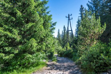 Amazing Summer landscape of Rila Mountain near Malyovitsa peak, Bulgaria