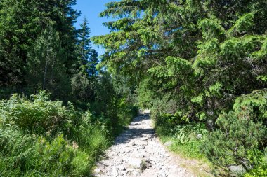 Amazing Summer landscape of Rila Mountain near Malyovitsa peak, Bulgaria