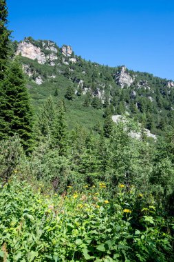 Amazing Summer landscape of Rila Mountain near Malyovitsa peak, Bulgaria