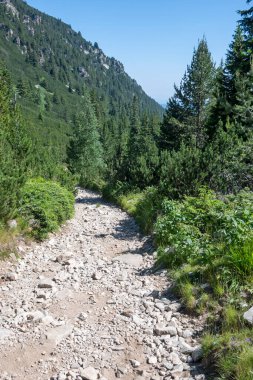 Amazing Summer landscape of Rila Mountain near Malyovitsa peak, Bulgaria