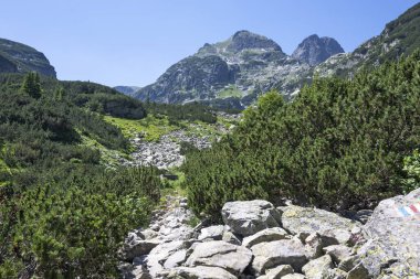 Amazing Summer landscape of Rila Mountain near Malyovitsa peak, Bulgaria