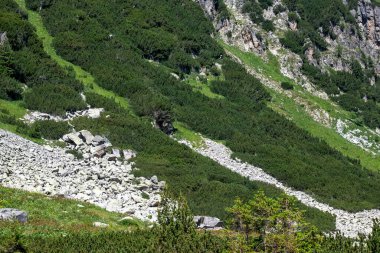 Amazing Summer landscape of Rila Mountain near Malyovitsa peak, Bulgaria