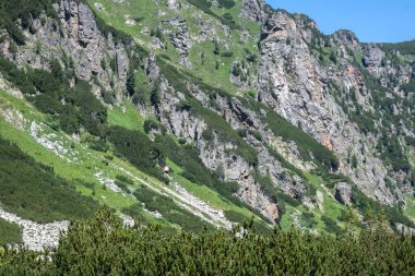 Amazing Summer landscape of Rila Mountain near Malyovitsa peak, Bulgaria