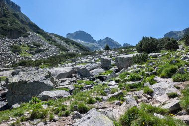 Amazing Summer landscape of Rila Mountain near Malyovitsa peak, Bulgaria