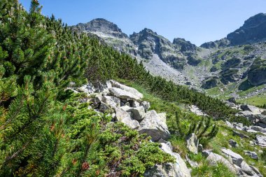 Amazing Summer landscape of Rila Mountain near Malyovitsa peak, Bulgaria