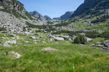 Amazing Summer landscape of Rila Mountain near Malyovitsa peak, Bulgaria