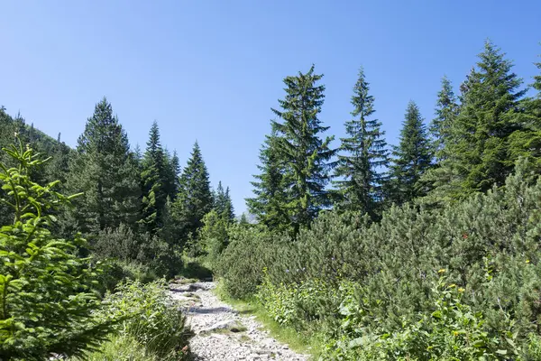 Amazing Summer landscape of Rila Mountain near Malyovitsa peak, Bulgaria