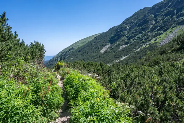 Amazing Summer landscape of Rila Mountain near Malyovitsa peak, Bulgaria