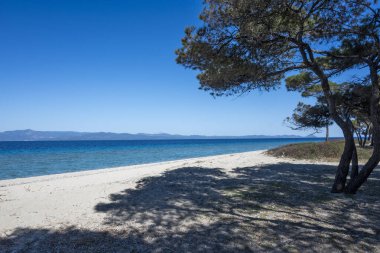 Lagoon Sahili yakınlarındaki Kassandra kıyı şeridi, Chalkidiki, Orta Makedonya, Yunanistan