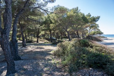 Lagoon Sahili yakınlarındaki Kassandra kıyı şeridi, Chalkidiki, Orta Makedonya, Yunanistan