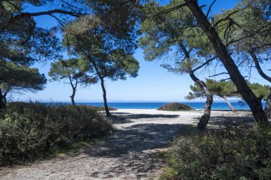 Lagoon Sahili yakınlarındaki Kassandra kıyı şeridi, Chalkidiki, Orta Makedonya, Yunanistan