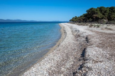 Lagoon Sahili yakınlarındaki Kassandra kıyı şeridi, Chalkidiki, Orta Makedonya, Yunanistan