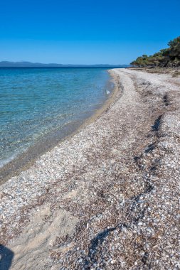 Lagoon Sahili yakınlarındaki Kassandra kıyı şeridi, Chalkidiki, Orta Makedonya, Yunanistan