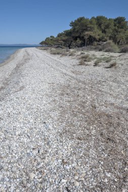 Lagoon Sahili yakınlarındaki Kassandra kıyı şeridi, Chalkidiki, Orta Makedonya, Yunanistan