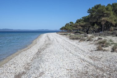 Lagoon Sahili yakınlarındaki Kassandra kıyı şeridi, Chalkidiki, Orta Makedonya, Yunanistan
