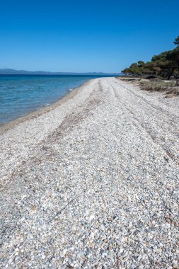 Amazing view of Kassandra coastline near Lagoon Beach, Chalkidiki, Central Macedonia, Greece clipart