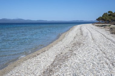 Lagoon Sahili yakınlarındaki Kassandra kıyı şeridi, Chalkidiki, Orta Makedonya, Yunanistan