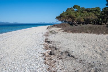 Lagoon Sahili yakınlarındaki Kassandra kıyı şeridi, Chalkidiki, Orta Makedonya, Yunanistan