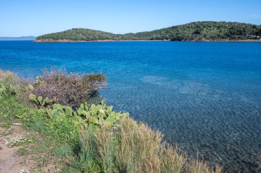 Kassandra 'nın Xina, Chalkidiki, Orta Makedonya ve Yunanistan köyü yakınlarındaki kıyı şeridinin inanılmaz manzarası