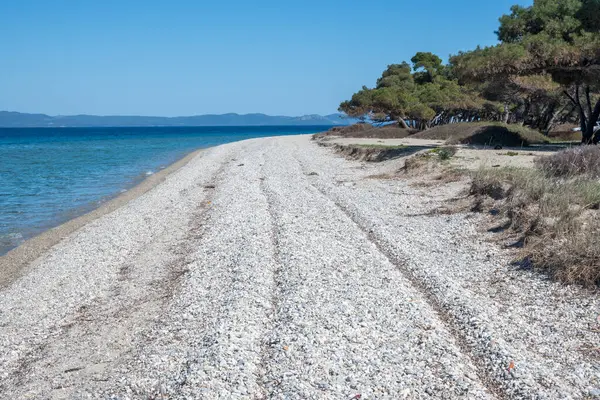 stock image Amazing view of Kassandra coastline near Lagoon Beach, Chalkidiki, Central Macedonia, Greece