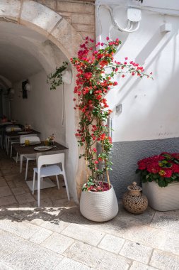 İtalya 'nın Apulia Bölgesi, Locorotondo Eski Kasabası Panoraması
