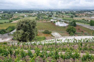 İtalya 'nın Apulia Bölgesi, Locorotondo Eski Kasabası Panoraması