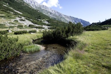 Bulgaristan 'ın Banderitsa Gölü çevresindeki Pirin Dağı' nın şaşırtıcı yaz manzarası