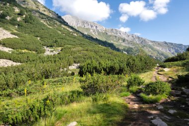 Bulgaristan 'ın Banderitsa Gölü çevresindeki Pirin Dağı' nın şaşırtıcı yaz manzarası