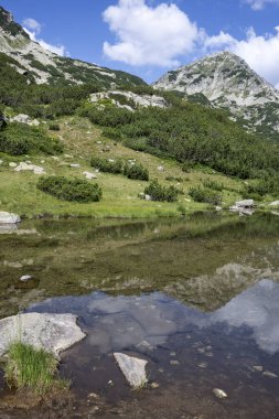 Bulgaristan 'ın Banderitsa Gölü çevresindeki Pirin Dağı' nın şaşırtıcı yaz manzarası