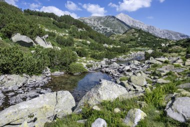 Bulgaristan 'ın Banderitsa Gölü çevresindeki Pirin Dağı' nın şaşırtıcı yaz manzarası