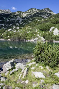 Bulgaristan 'ın Banderitsa Gölü çevresindeki Pirin Dağı' nın şaşırtıcı yaz manzarası