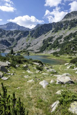 Bulgaristan 'ın Banderitsa Gölü çevresindeki Pirin Dağı' nın şaşırtıcı yaz manzarası